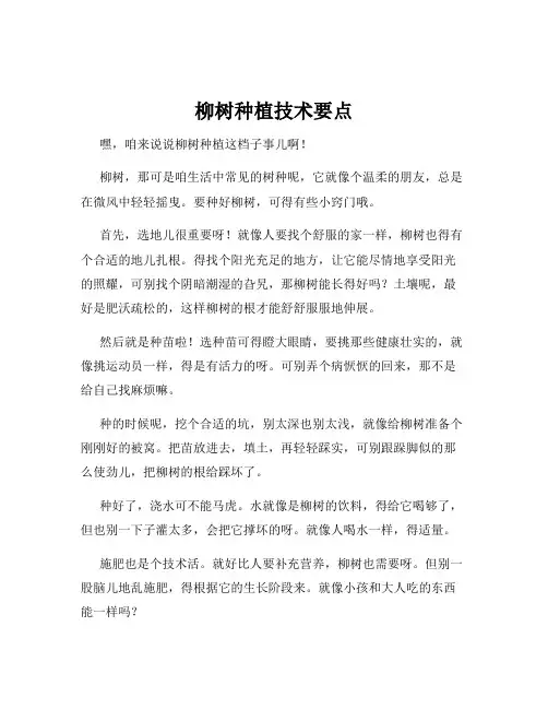 柳树种植技术要点
