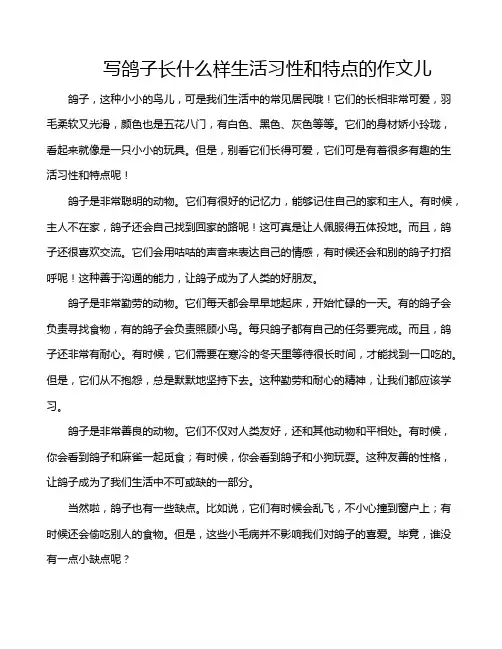 写鸽子长什么样生活习性和特点的作文儿
