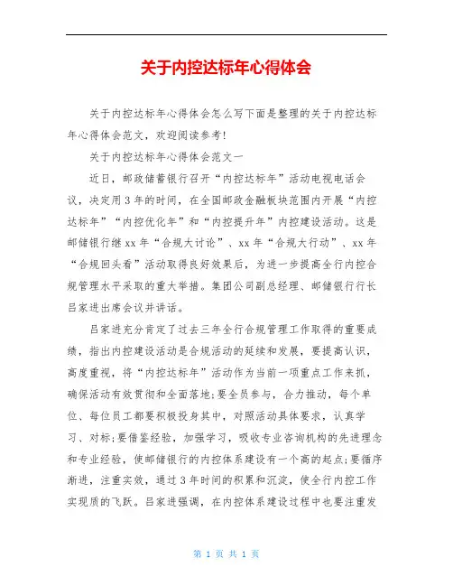 关于内控达标年心得体会