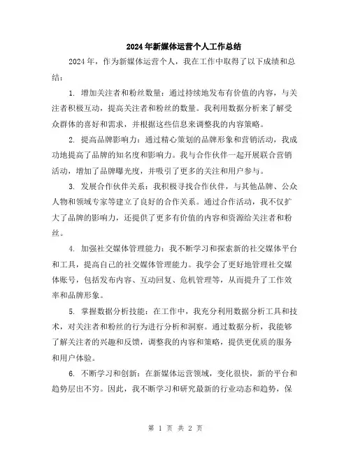 2024年新媒体运营个人工作总结