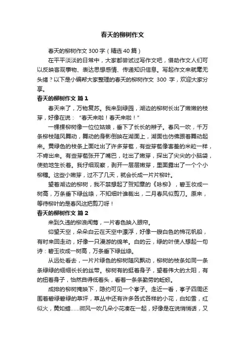 春天的柳树作文300字（精选40篇）