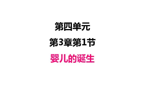 济南版初中八年级上册生物精品教学课件 第三单元 第1章婴儿的诞生