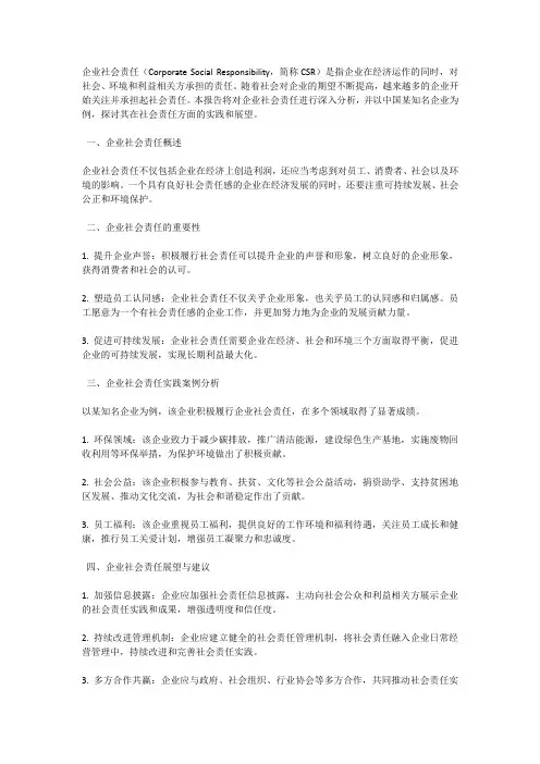 企业社会责任分析报告