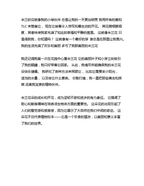 我的植物朋友米兰花300字左右作文