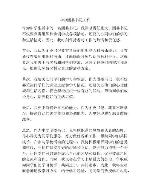 中学团委书记工作