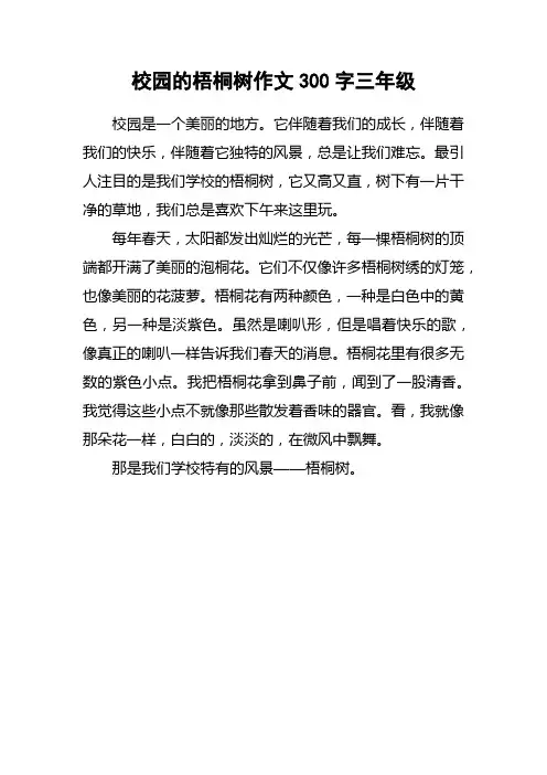 校园的梧桐树作文300字三年级