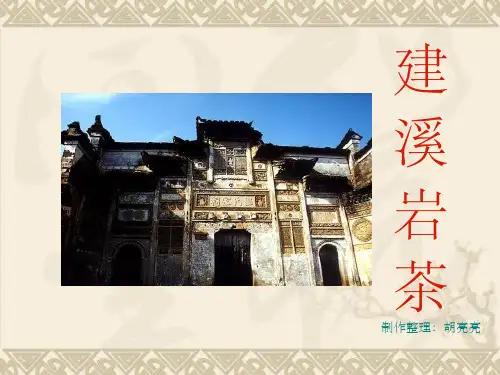 《历史渊源武夷岩茶》PPT课件