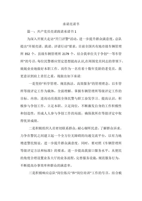 承诺亮诺书