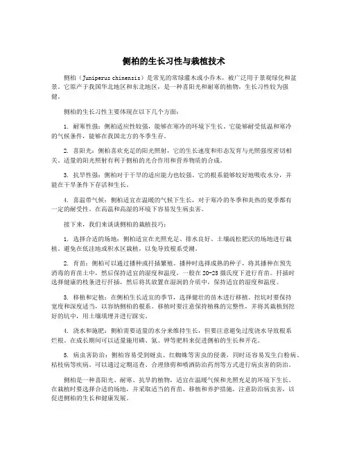 侧柏的生长习性与栽植技术