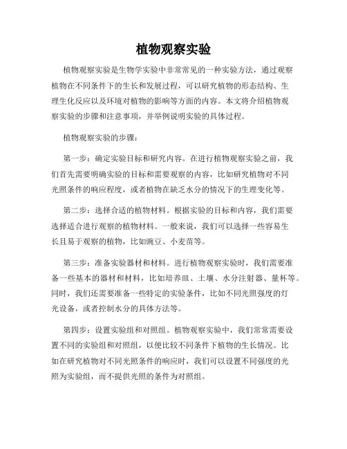 植物观察实验