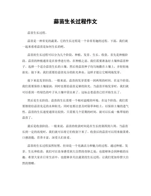 蒜苗生长过程作文