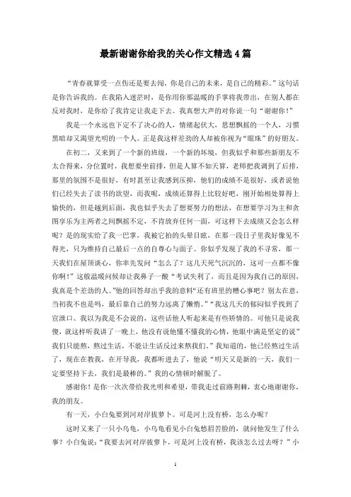最新谢谢你给我的关心作文精选4篇