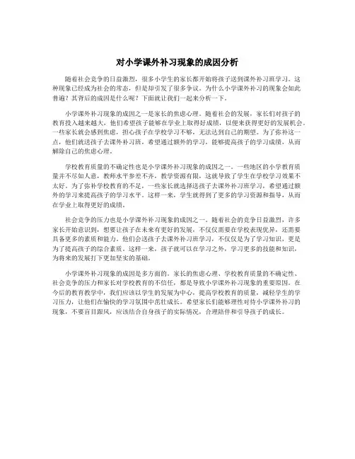 对小学课外补习现象的成因分析