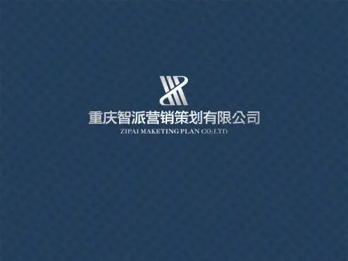 重庆茶园新区前期调研完整版资料