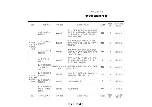 公司重大风险清单