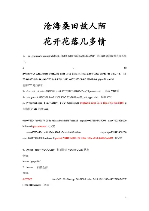 XEN常用命令