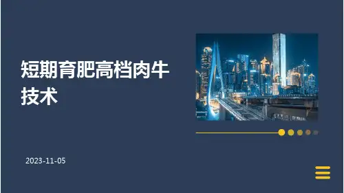 短期育肥高档肉牛技术