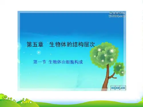 七年级生物上册 第一节 生物体由细胞构成第1课时课件 冀教