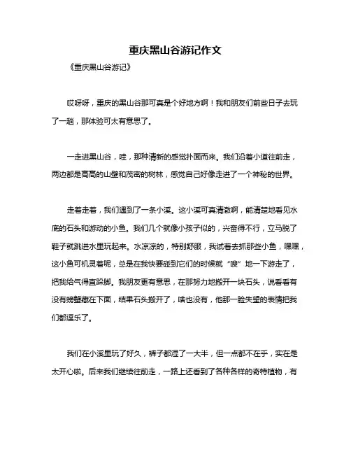 重庆黑山谷游记作文