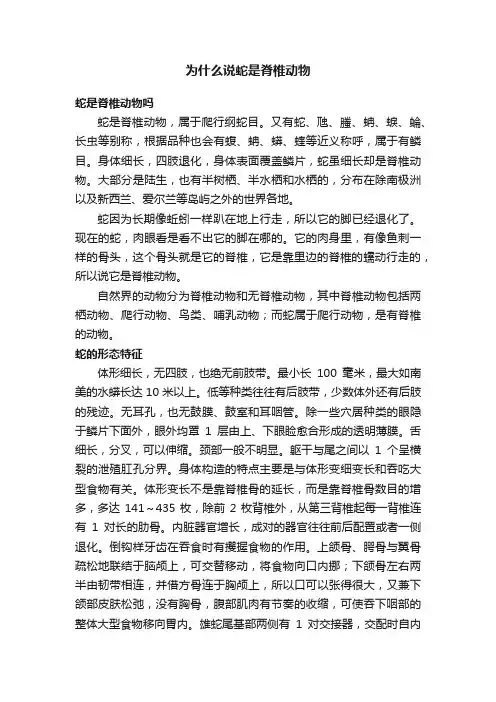 为什么说蛇是脊椎动物