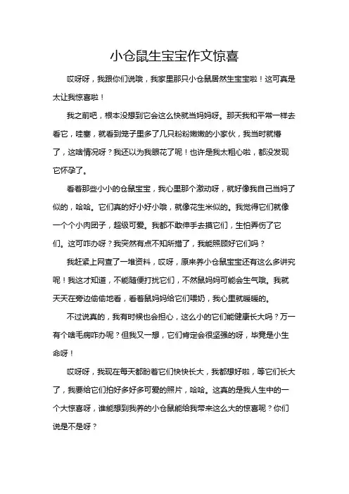 小仓鼠生宝宝作文惊喜