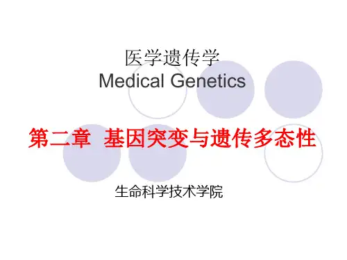 医学遗传学-基因突变与遗传多态性