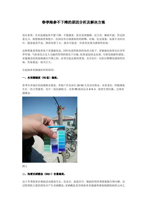 春季海参不下滩的原因分析及解决方案