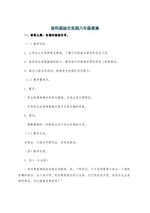 浙科版综合实践六年级教案