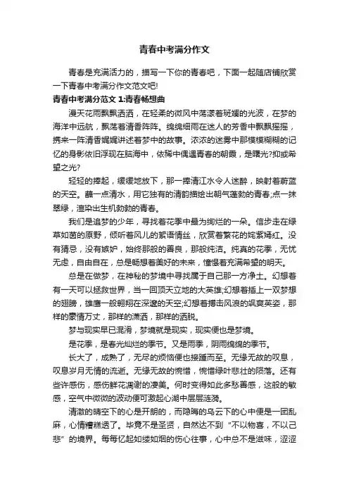 青春中考满分作文