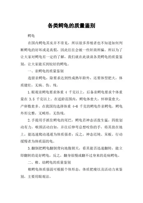 各类鳄龟的质量鉴别