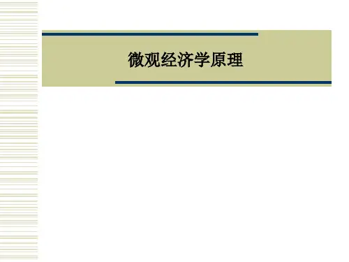 微观经济学原理PPT课件