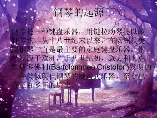 钢琴介绍ppt