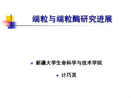 4端粒和端粒酶的研究进展