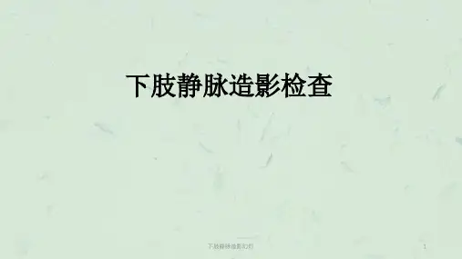 下肢静脉造影幻灯课件