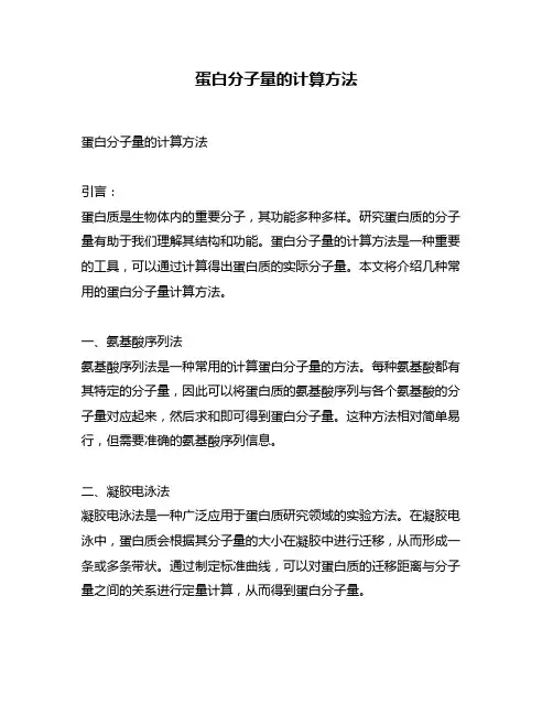 蛋白分子量的计算方法