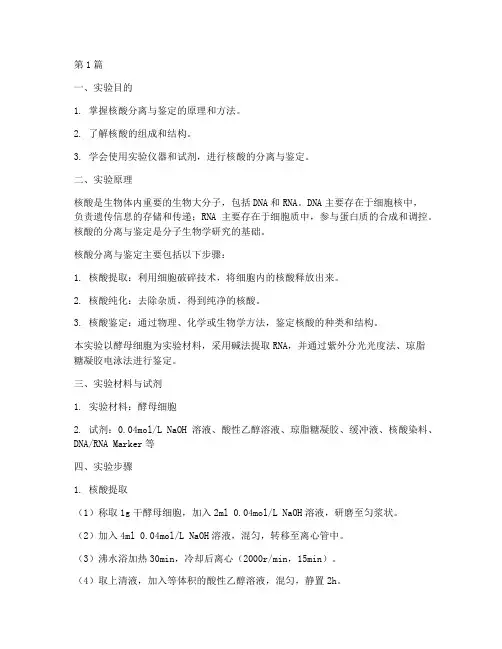 核酸分离鉴定_实验报告(3篇)