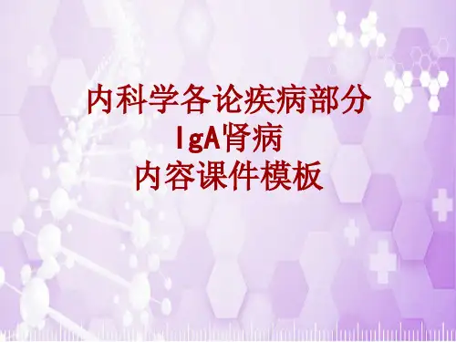 内科学_各论_疾病：IgA肾病_课件模板