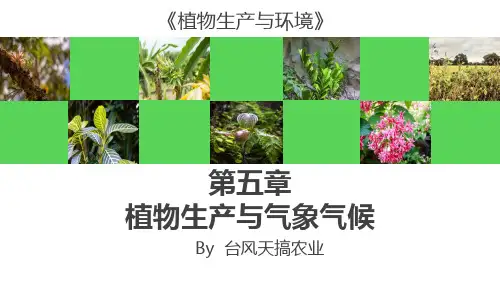 《植物生产与环境》课程课件——植物生产与气候气象