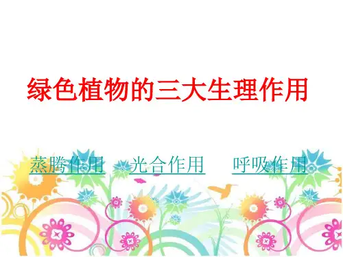 七年级上册生物绿色植物的三大作用专题复习