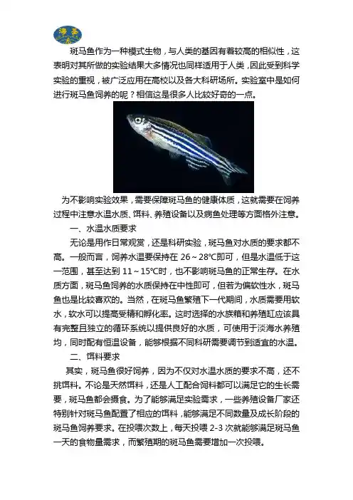 斑马鱼饲养方法