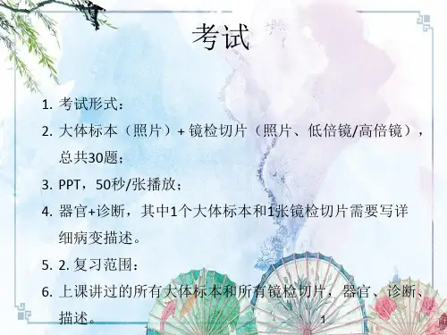 【病理学】病理 切片