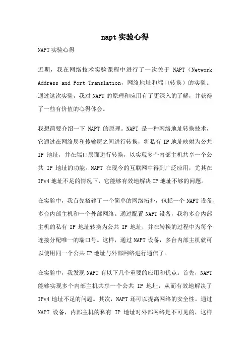 napt实验心得