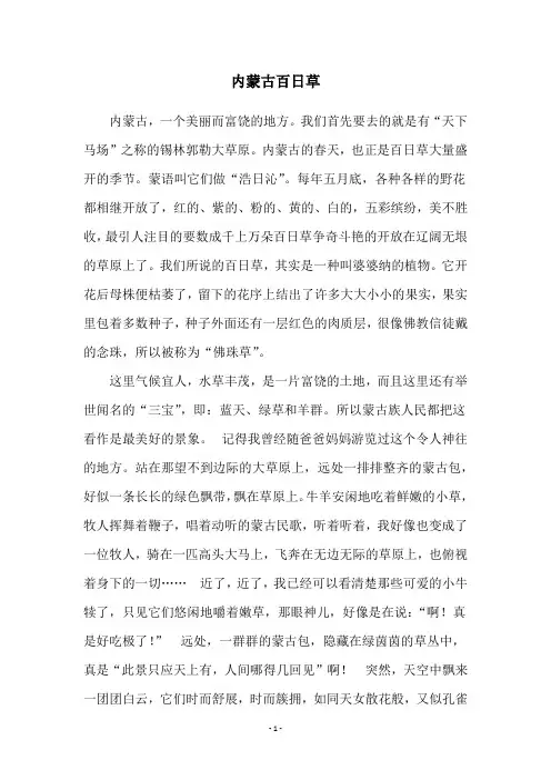 内蒙古百日草