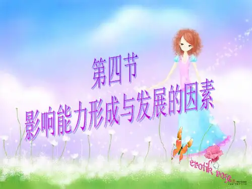 影响能力发展与形成的因素
