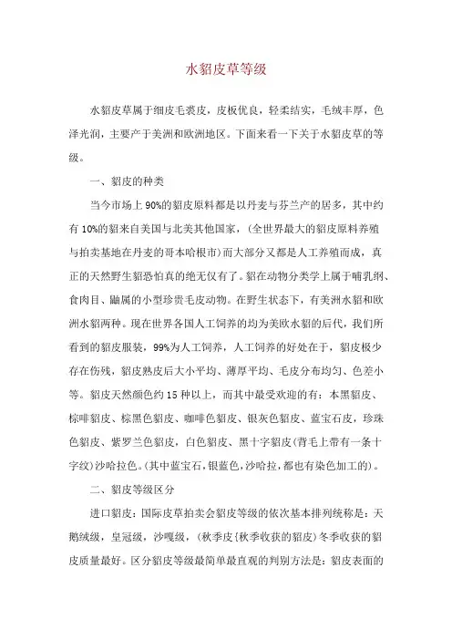 水貂皮草等级