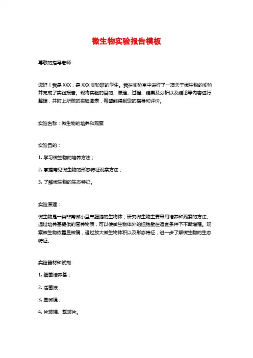 微生物实验报告模板