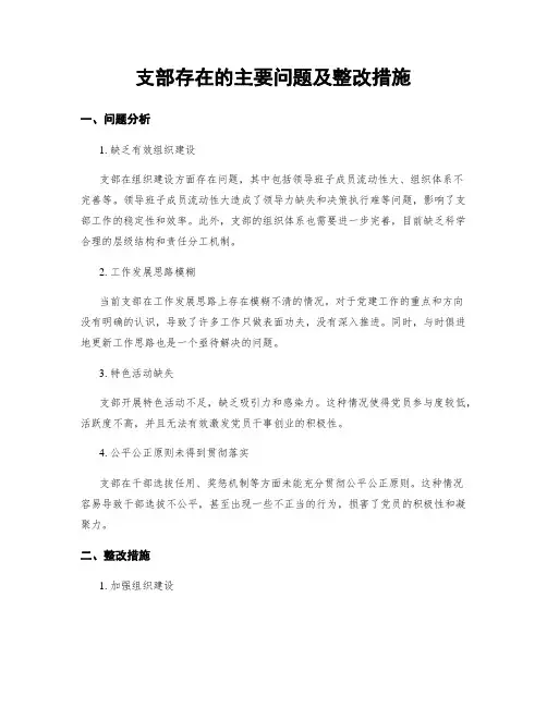 支部存在的主要问题及整改措施