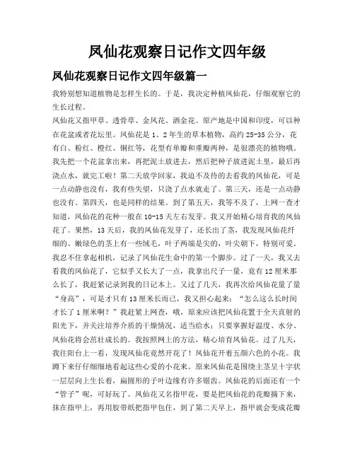 凤仙花观察日记作文四年级