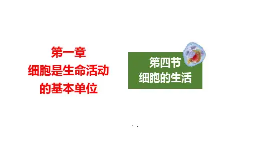 《细胞的生活》PPT精品课件