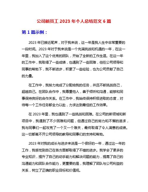 公司新员工2023年个人总结范文6篇